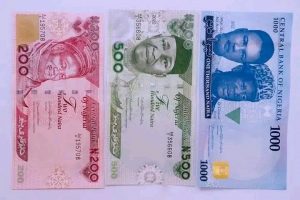 Historical Breakdown Of The Nigerian Currency From The Precolonial Era Till Date